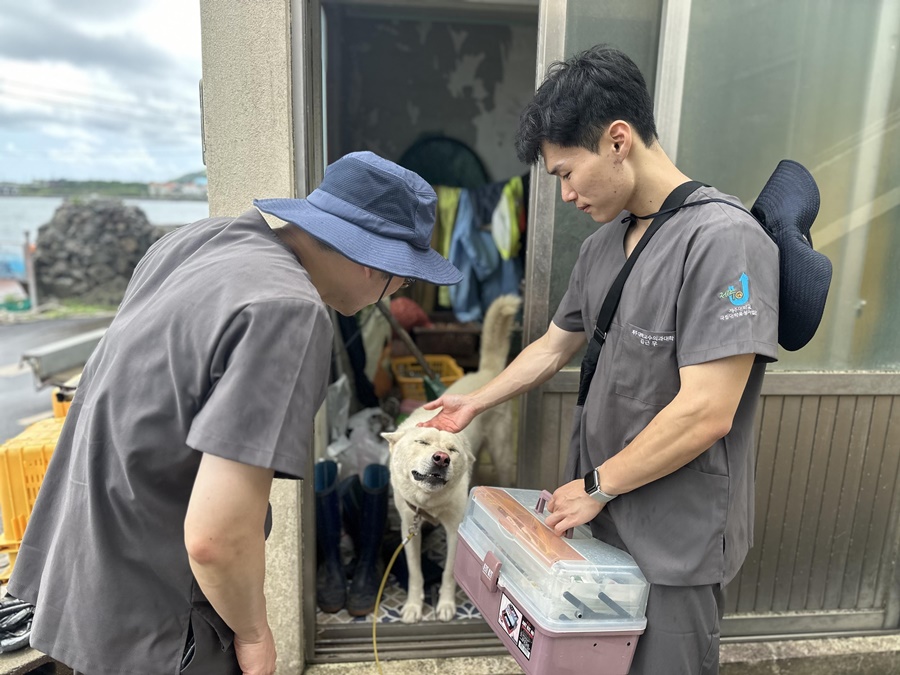 JNU College of Veterinary Medicine, Free Volunteer Work for Animal Treatment