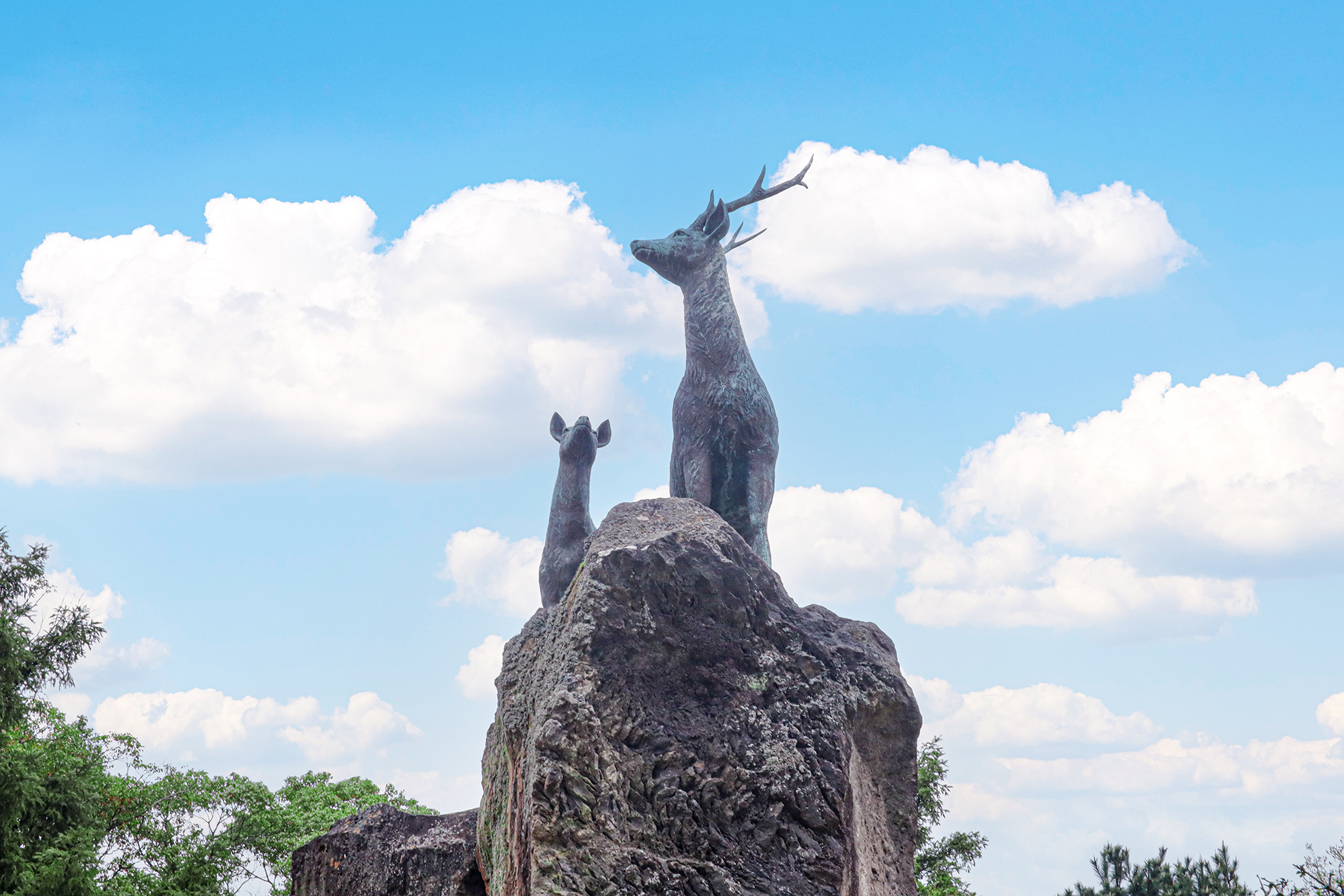 제주대학교 전경 사진