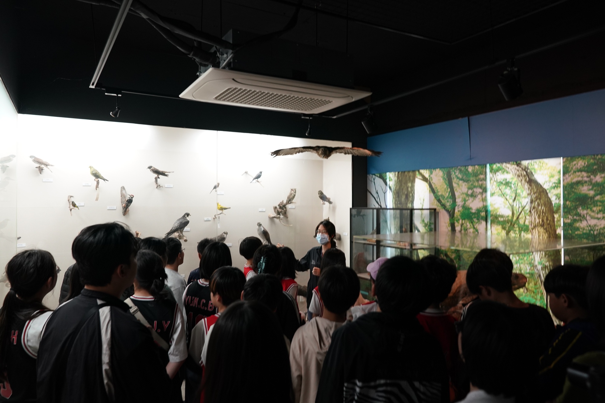 “우린 야생동물과 함께 살아가고 있어요”