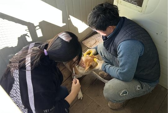 제주대 수의과대학 임상학술동아리 ‘백신’, 유기동물 대상 봉사 실시
