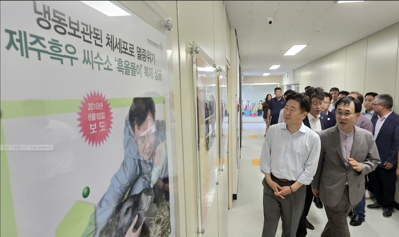 제주흑우연구센터 방문한 오영훈 도지사 "제주흑우 브랜드 가치 크다"