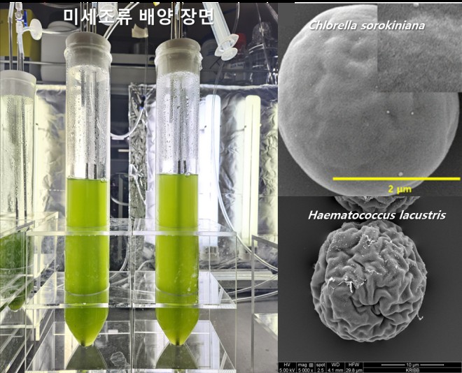 레드바이오 폐자원, 순환형 바이오컨버전으로 재활용