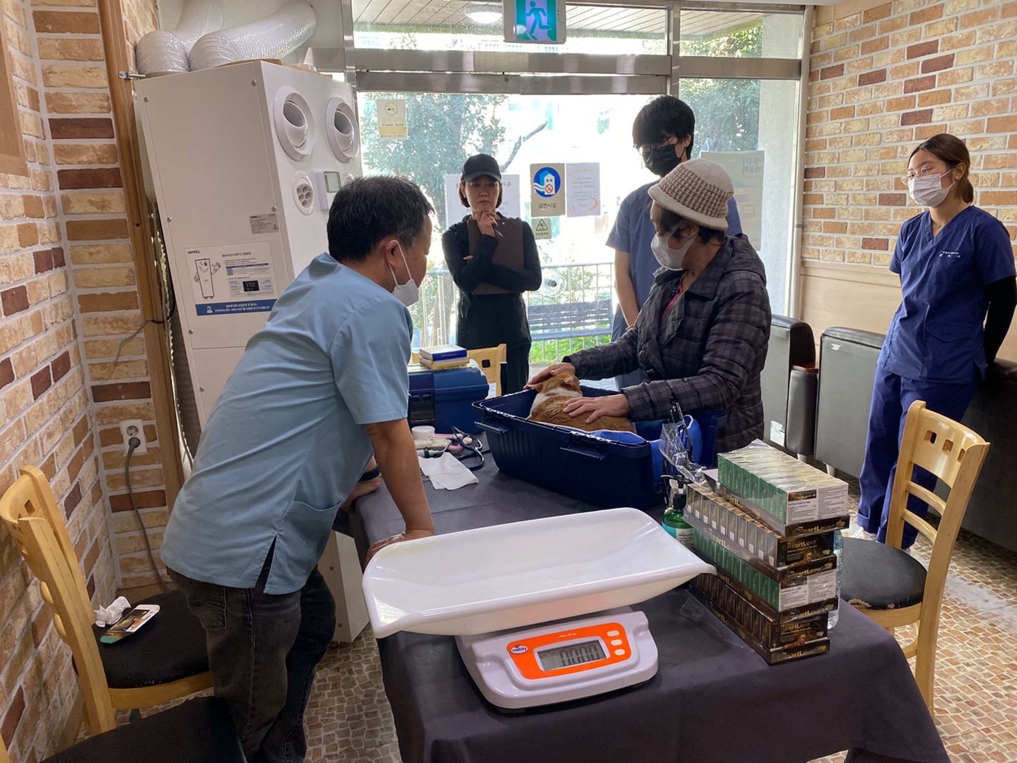 제주대 수의과대학 임상동아리 ‘백신’ 펫닥터 4년째 운영 ‘훈훈’