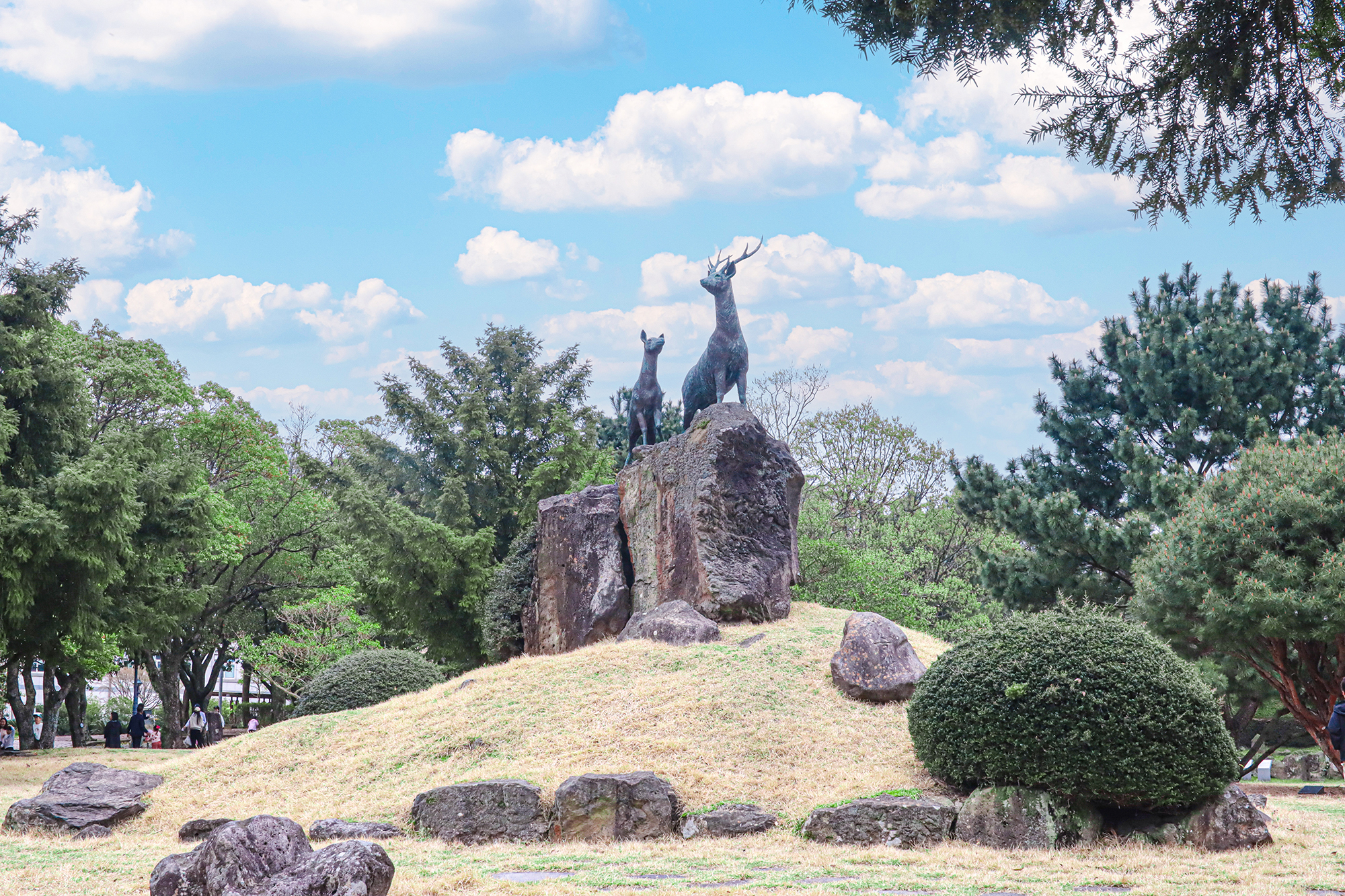 제주대학교 전경 사진