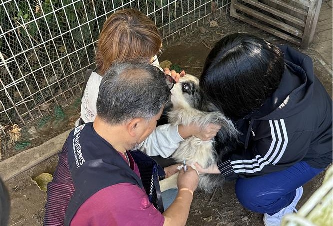 제주대 수의과대학 임상학술동아리 ‘백신’, 유기동물 대상 봉사 실시