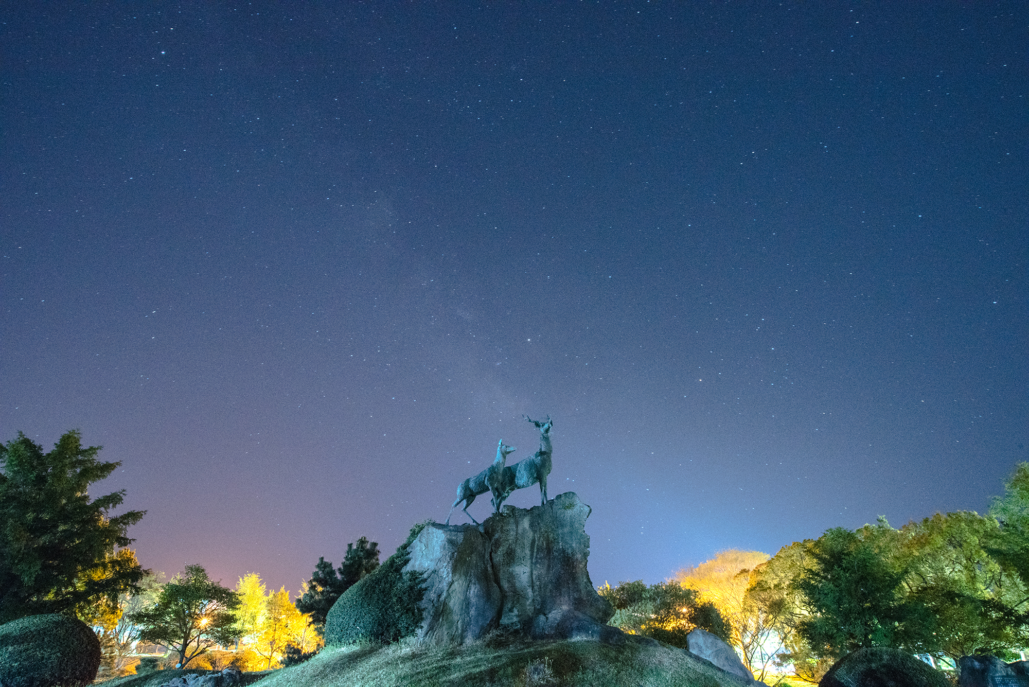 제주대 통역번역대학원, 11월3~19일 신입생 모집