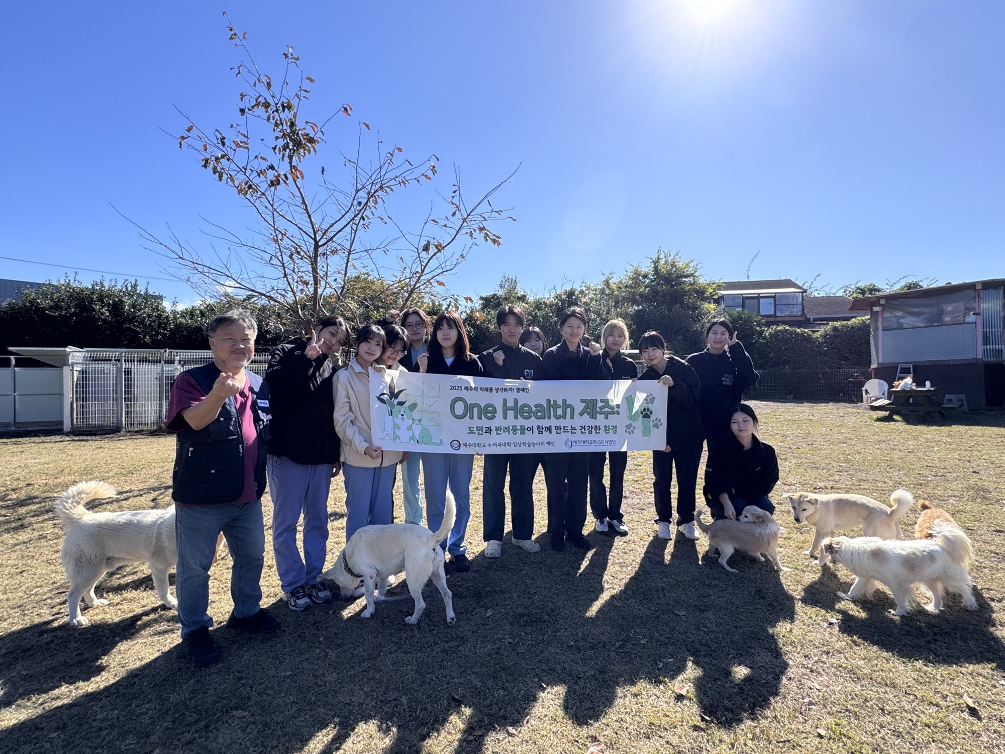 제주대 수의과대학 임상학술동아리 ‘백신’, 유기동물 대상 봉사 실시