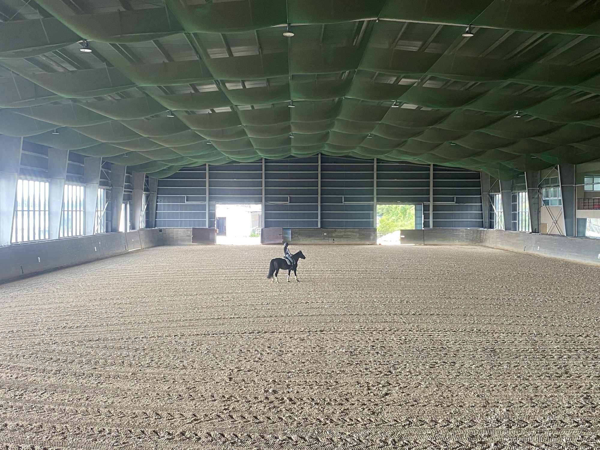 제주대학교, 2026전국체전 실내승마장 준비‘이상무’