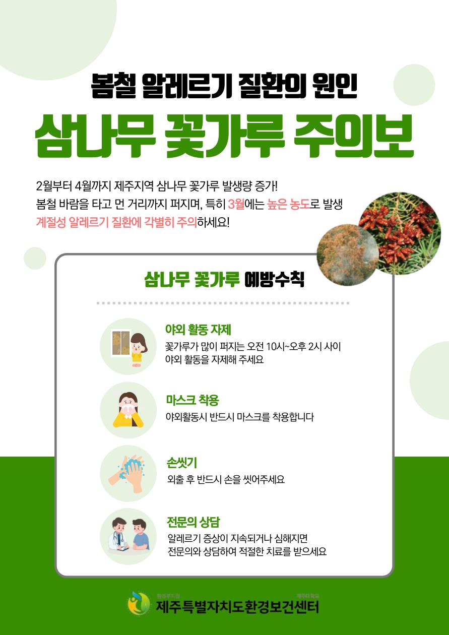 봄철 알레르기 질환의 원인 삼나무 꽃가루 ‘주의하세요’ 