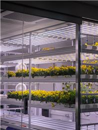 RISE 디지털농업융합트랙, ‘Technical training course - 수직농장 관리자 전문 양성과정 교육’ 성료